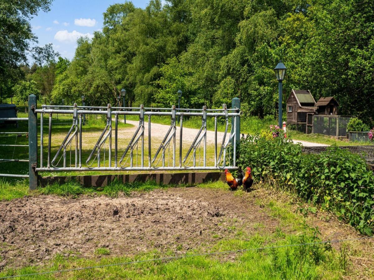 A Lovely Cottage On The Dwingelderveld Nature Park Beilen Εξωτερικό φωτογραφία