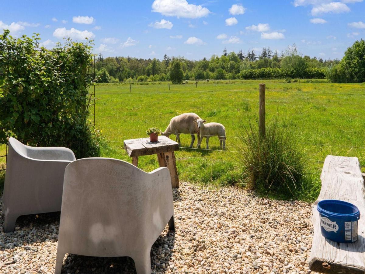 A Lovely Cottage On The Dwingelderveld Nature Park Beilen Εξωτερικό φωτογραφία